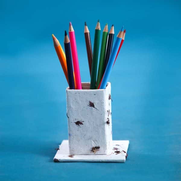 Recycled Paper Pencil Holders with Real Flowers